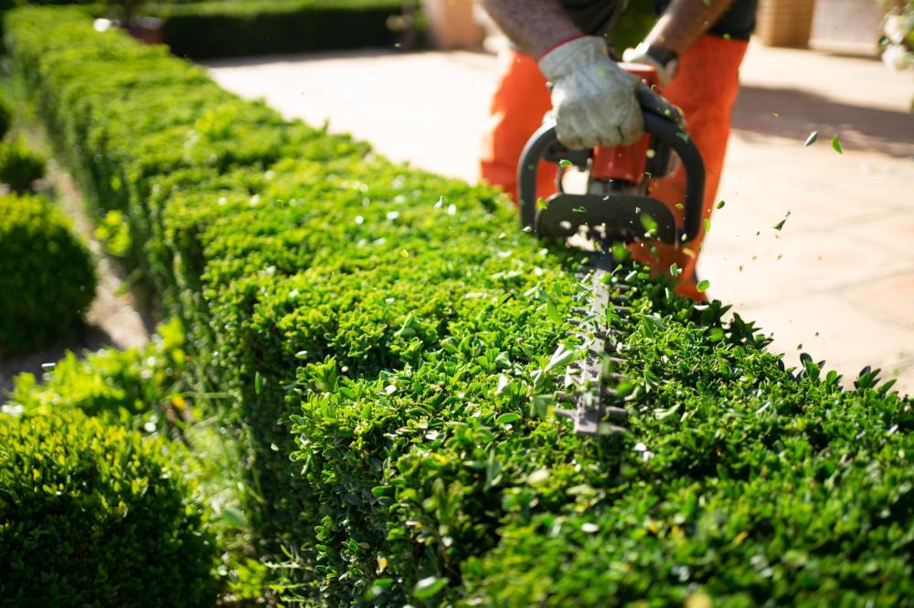 Entretien de jardin à Landujan